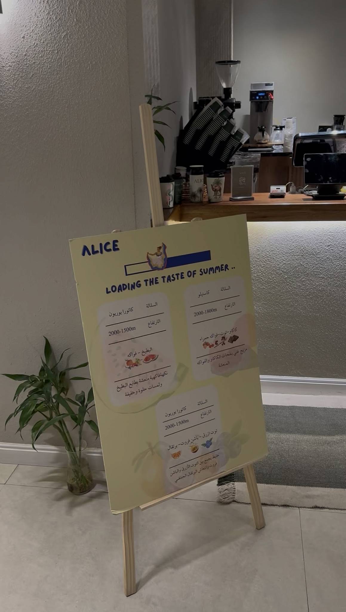 Alice Café меню