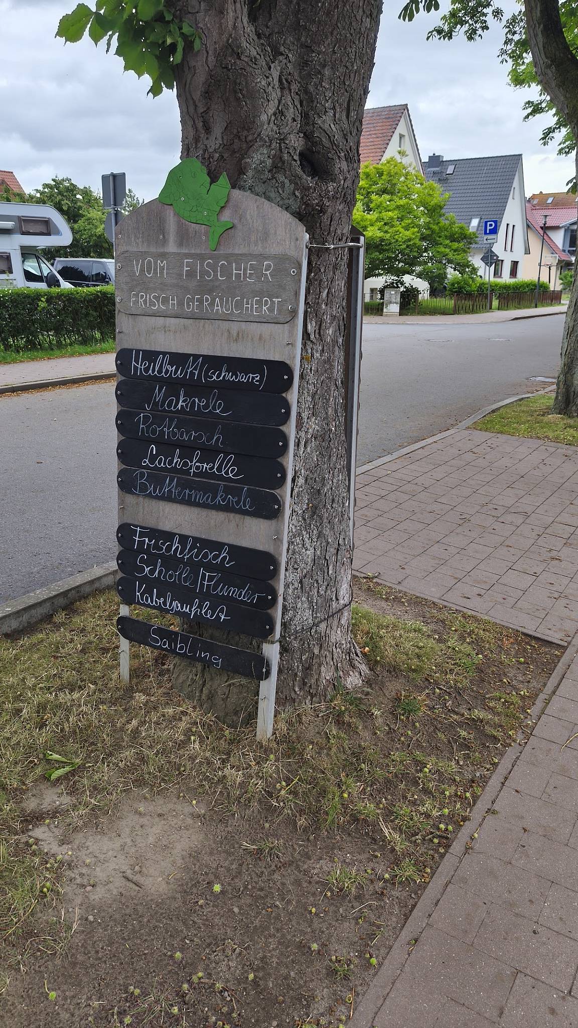 Fischbrötchen Rerik Never меню