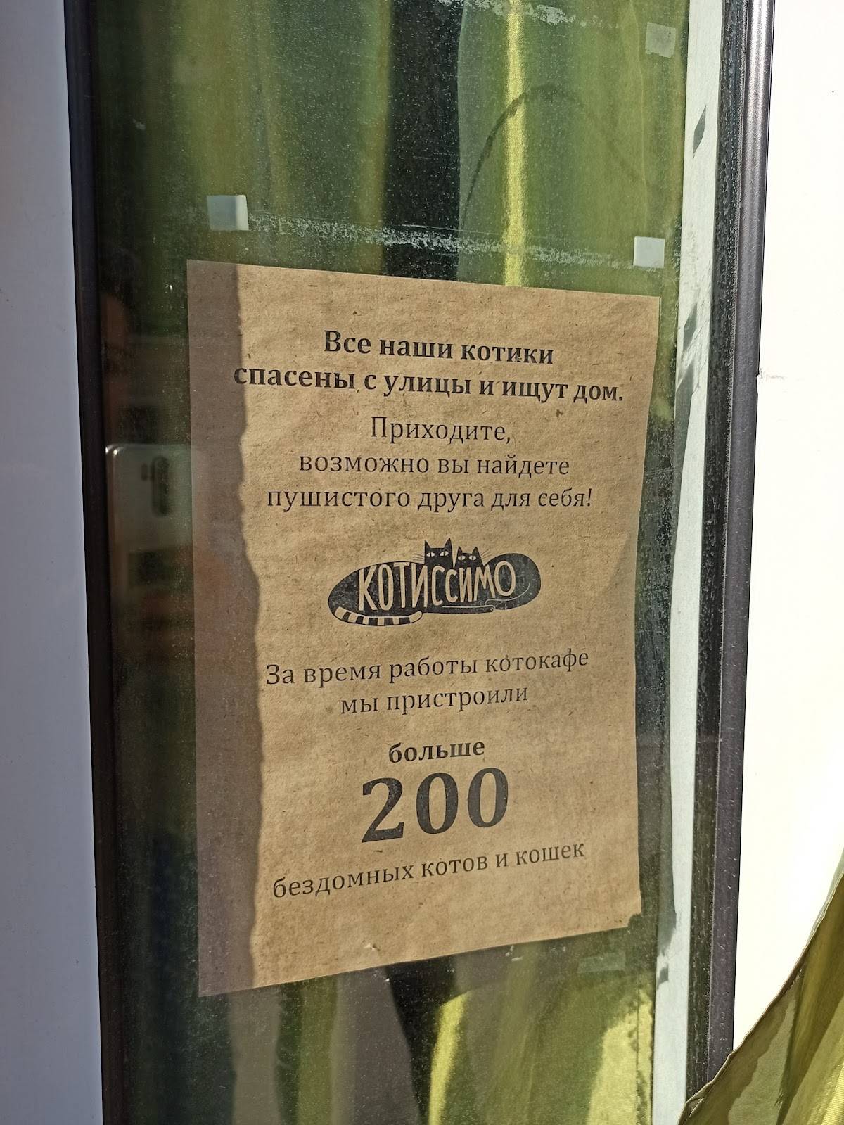 Котиссимо меню