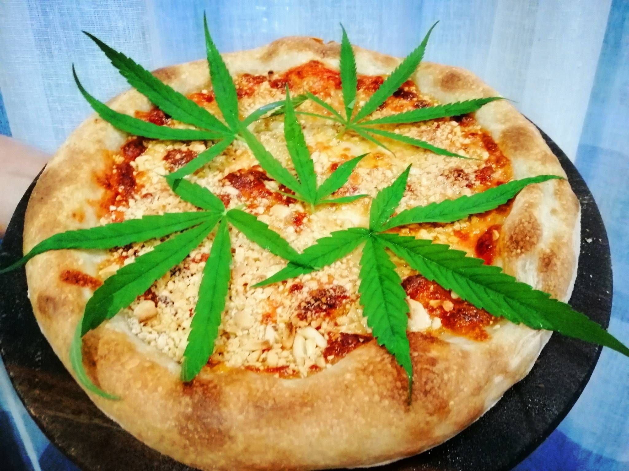 PIZZA CASA NIYA меню