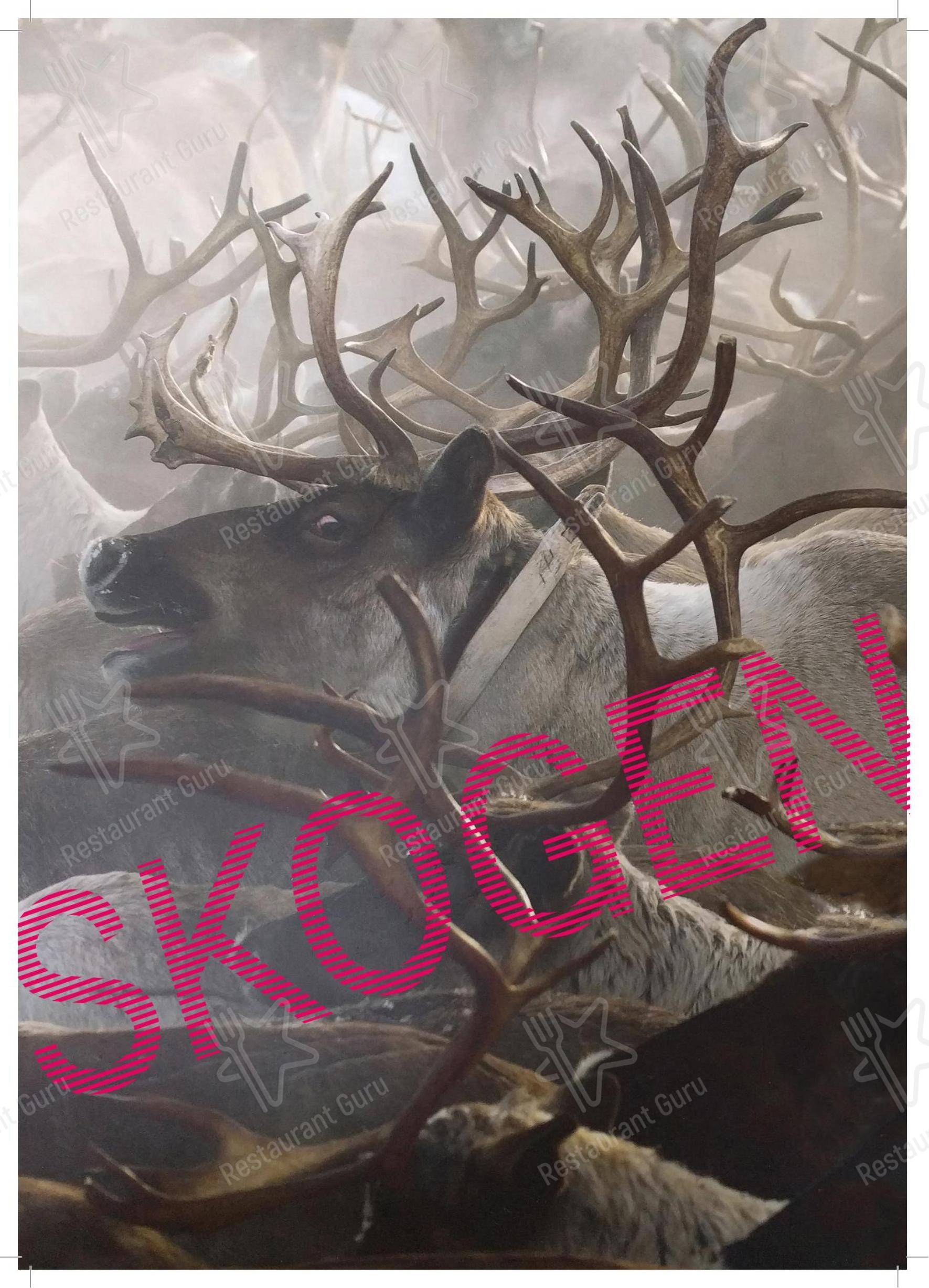Детское паба и бара Skogen Dorridge
