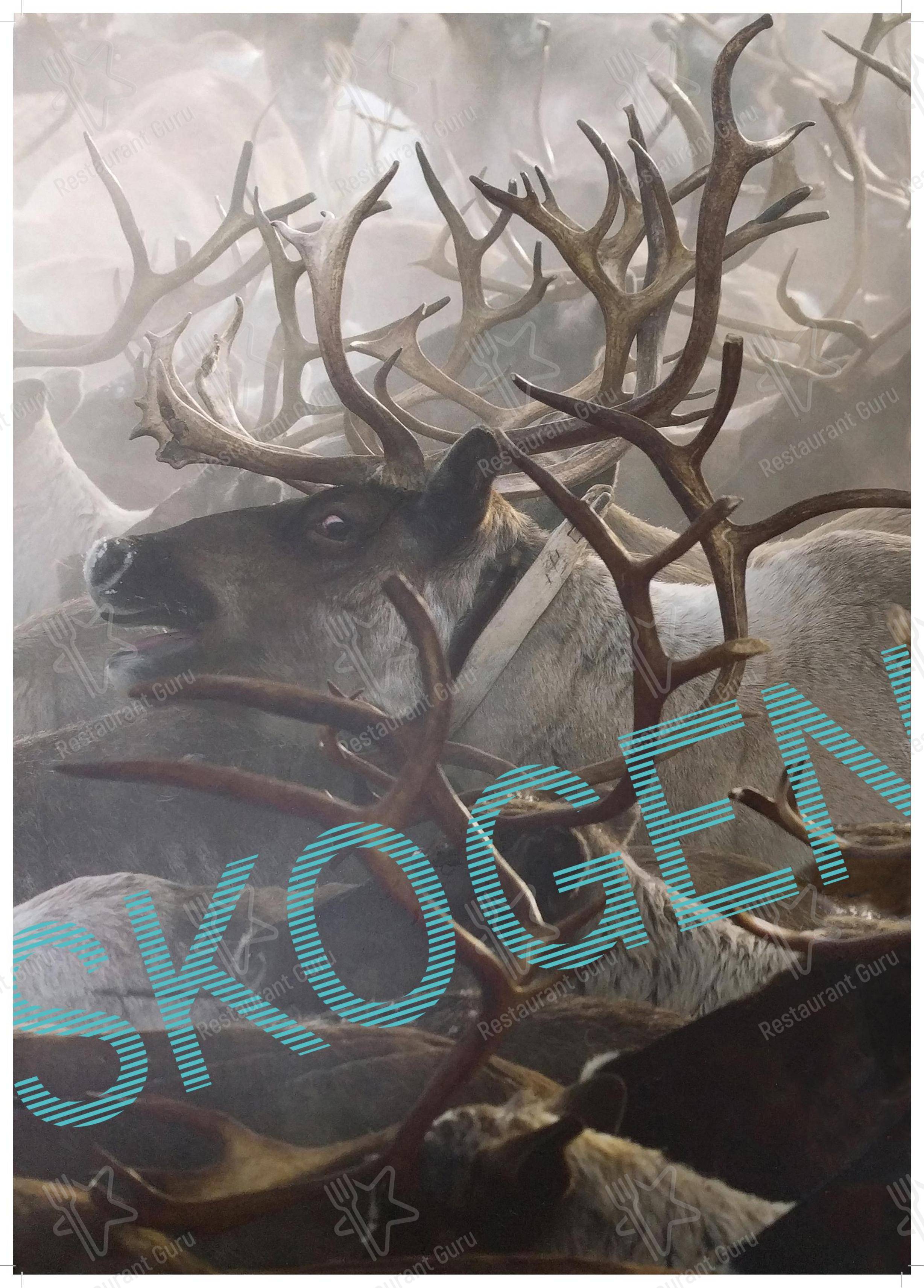Меню паба и бара Skogen Dorridge - 菜单